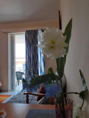 a comfortable studio near the University